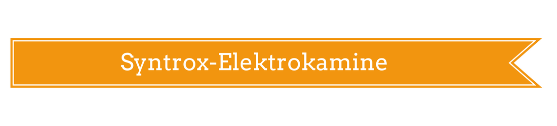 Syntrox Elektrokamine