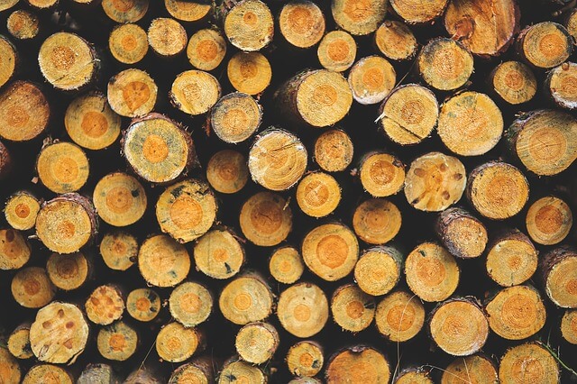 heizung holz